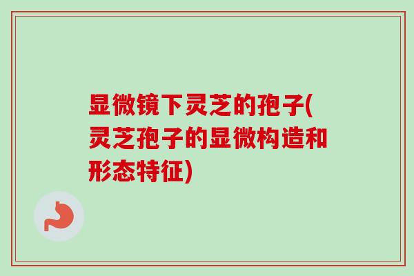 显微镜下灵芝的孢子(灵芝孢子的显微构造和形态特征)