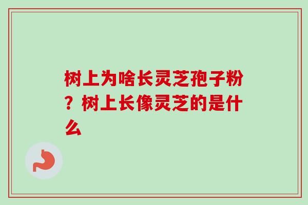 树上为啥长灵芝孢子粉?树上长像灵芝的是什么 树上为啥长灵芝孢子粉?树上长像灵芝的是什么