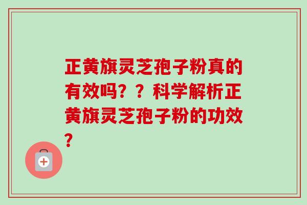 正黄旗灵芝孢子粉真的有效吗??科学解析正黄旗灵芝孢子粉的功效? 正黄旗灵芝孢子粉真的有效吗??科学解析正黄旗灵芝孢子粉的功效?