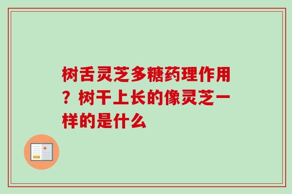 树舌灵芝多糖药理作用?树干上长的像灵芝一样的是什么 树舌灵芝多糖药理作用?树干上长的像灵芝一样的是什么