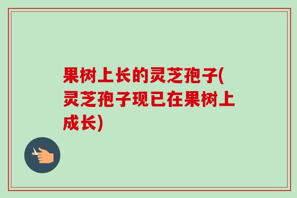 果树上长的灵芝孢子(灵芝孢子现已在果树上成长) 果树上长的灵芝孢子(灵芝孢子现已在果树上成长)