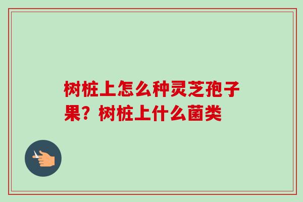 树桩上怎么种灵芝孢子果?树桩上什么菌类 树桩上怎么种灵芝孢子果?树桩上什么菌类