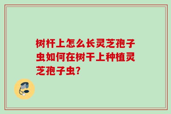 树杆上怎么长灵芝孢子虫如何在树干上种植灵芝孢子虫？