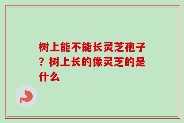 树上能不能长灵芝孢子？树上长的像灵芝的是什么