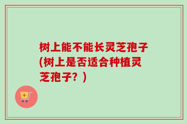 树上能不能长灵芝孢子(树上是否适合种植灵芝孢子？)