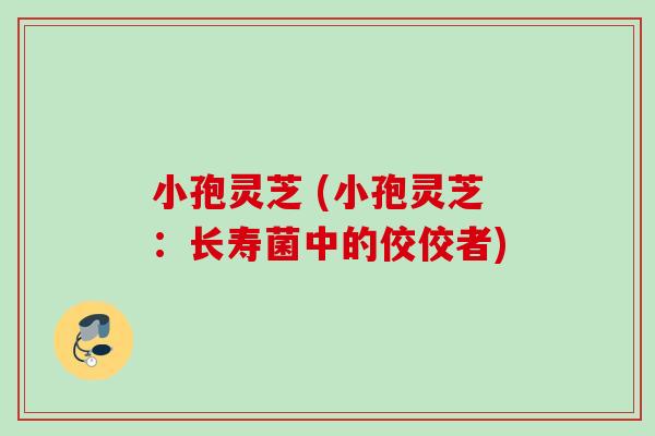 小孢灵芝 (小孢灵芝:长寿菌中的佼佼者) 小孢灵芝 (小孢灵芝:长寿菌中的佼佼者)