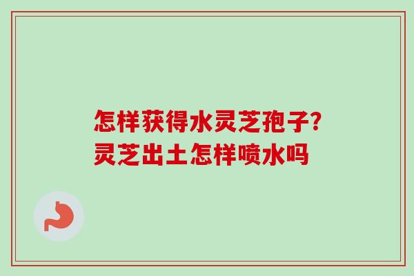 怎样获得水灵芝孢子?灵芝出土怎样喷水吗 怎样获得水灵芝孢子?灵芝出土怎样喷水吗