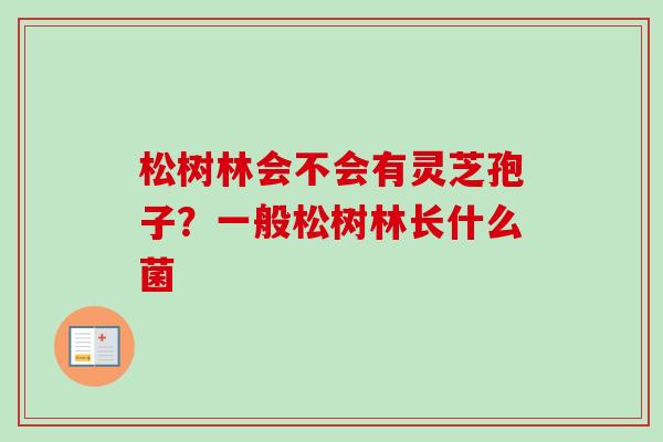松树林会不会有灵芝孢子?一般松树林长什么菌 松树林会不会有灵芝孢子?一般松树林长什么菌