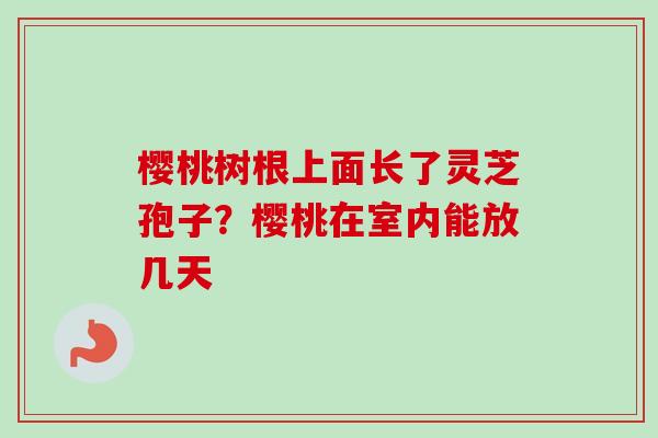 樱桃树根上面长了灵芝孢子？樱桃在室内能放几天
