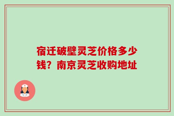 宿迁破壁灵芝价格多少钱？南京灵芝收购地址