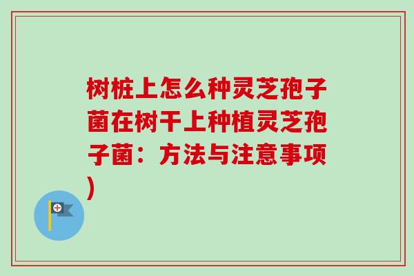 树桩上怎么种灵芝孢子菌在树干上种植灵芝孢子菌:方法与注意事项) 树桩上怎么种灵芝孢子菌在树干上种植灵芝孢子菌:方法与注意事项)