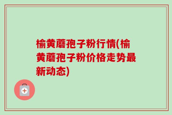 榆黄蘑孢子粉行情(榆黄蘑孢子粉价格走势新动态)