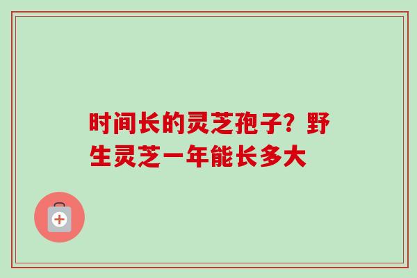 时间长的灵芝孢子?野生灵芝一年能长多大 时间长的灵芝孢子?野生灵芝一年能长多大