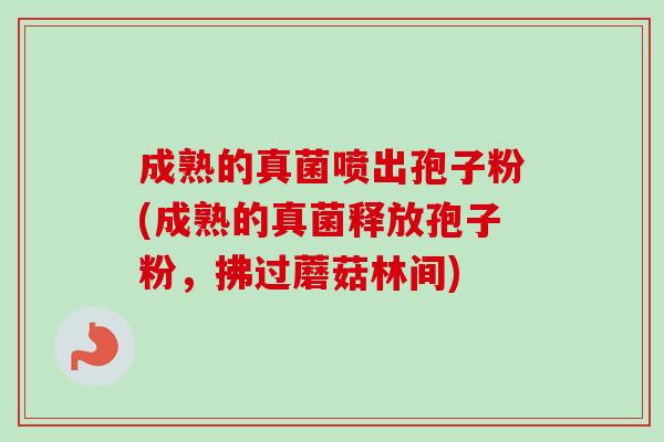 成熟的真菌喷出孢子粉(成熟的真菌释放孢子粉,拂过蘑菇林间) 成熟的真菌喷出孢子粉(成熟的真菌释放孢子粉,拂过蘑菇林间)