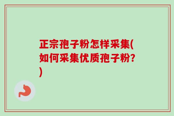 正宗孢子粉怎样采集(如何采集优质孢子粉？)