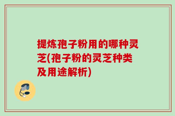 提炼孢子粉用的哪种灵芝(孢子粉的灵芝种类及用途解析)