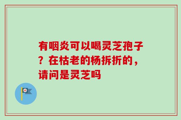 有可以喝灵芝孢子?在枯老的杨拆折的,请问是灵芝吗 有可以喝灵芝孢子?在枯老的杨拆折的,请问是灵芝吗