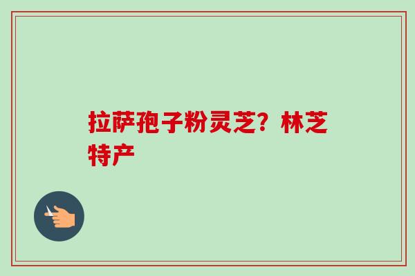 拉萨孢子粉灵芝?林芝特产 拉萨孢子粉灵芝?林芝特产