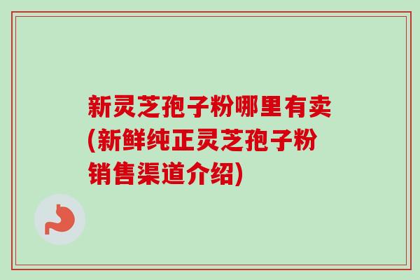 新灵芝孢子粉哪里有卖(新鲜纯正灵芝孢子粉销售渠道介绍) 新灵芝孢子粉哪里有卖(新鲜纯正灵芝孢子粉销售渠道介绍)
