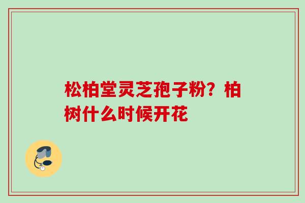松柏堂灵芝孢子粉?柏树什么时候开花 松柏堂灵芝孢子粉?柏树什么时候开花