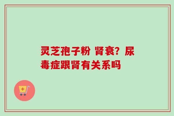 灵芝孢子粉 衰?尿毒症跟有关系吗 灵芝孢子粉 衰?尿毒症跟有关系吗