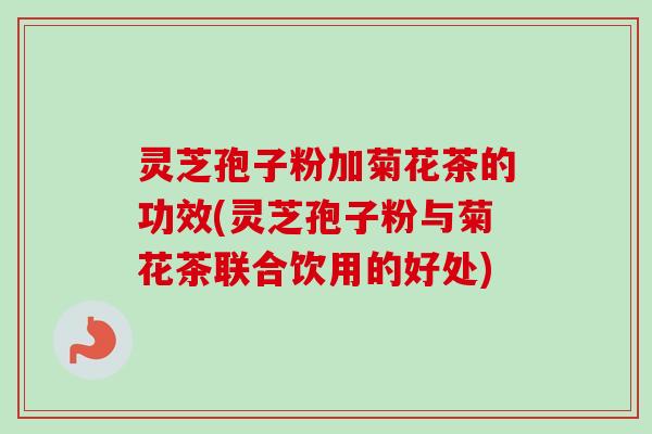 灵芝孢子粉加菊花茶的功效(灵芝孢子粉与菊花茶联合饮用的好处) 灵芝孢子粉加菊花茶的功效(灵芝孢子粉与菊花茶联合饮用的好处)