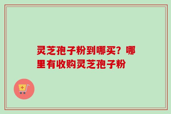 灵芝孢子粉到哪买?哪里有收购灵芝孢子粉 灵芝孢子粉到哪买?哪里有收购灵芝孢子粉