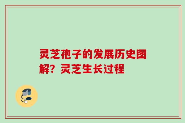 灵芝孢子的发展历史图解?灵芝生长过程 灵芝孢子的发展历史图解?灵芝生长过程