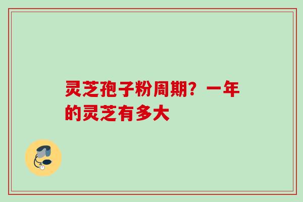 灵芝孢子粉周期?一年的灵芝有多大 灵芝孢子粉周期?一年的灵芝有多大