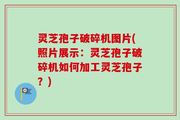灵芝孢子破碎机图片(照片展示:灵芝孢子破碎机如何加工灵芝孢子?) 灵芝孢子破碎机图片(照片展示:灵芝孢子破碎机如何加工灵芝孢子?)