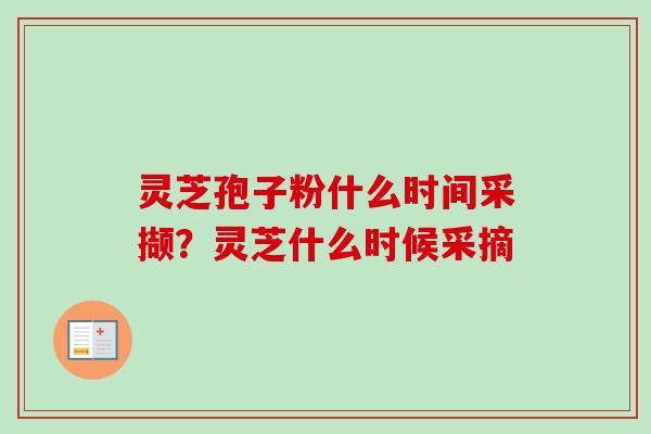 灵芝孢子粉什么时间采撷?灵芝什么时候采摘 灵芝孢子粉什么时间采撷?灵芝什么时候采摘