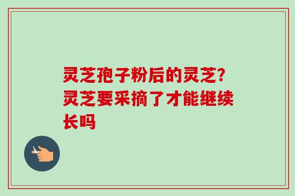 灵芝孢子粉后的灵芝?灵芝要采摘了才能继续长吗 灵芝孢子粉后的灵芝?灵芝要采摘了才能继续长吗