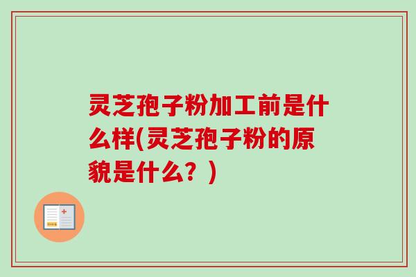 灵芝孢子粉加工前是什么样(灵芝孢子粉的原貌是什么?) 灵芝孢子粉加工前是什么样(灵芝孢子粉的原貌是什么?)