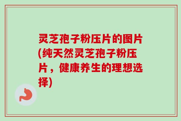 灵芝孢子粉压片的图片(纯天然灵芝孢子粉压片，健康养生的理想选择)