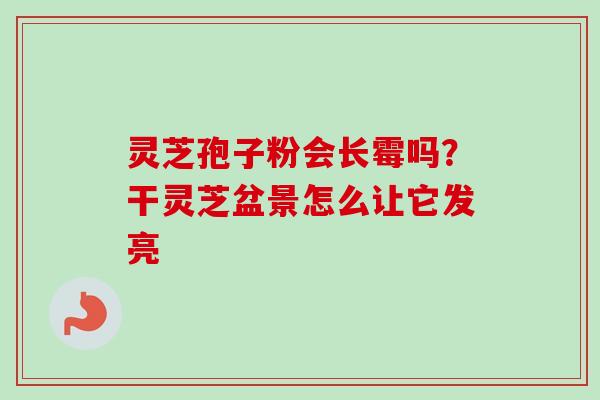 灵芝孢子粉会长霉吗？干灵芝盆景怎么让它发亮