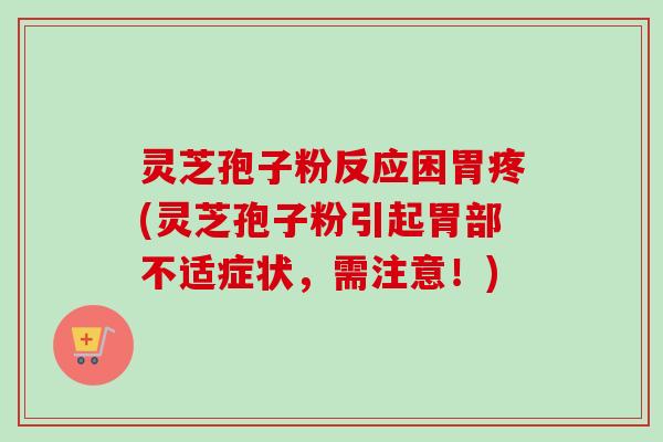 灵芝孢子粉反应困胃疼(灵芝孢子粉引起胃部不适症状,需注意!) 灵芝孢子粉反应困胃疼(灵芝孢子粉引起胃部不适症状,需注意!)