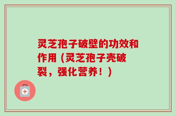 灵芝孢子破壁的功效和作用 (灵芝孢子壳破裂,强化营养!) 灵芝孢子破壁的功效和作用 (灵芝孢子壳破裂,强化营养!)