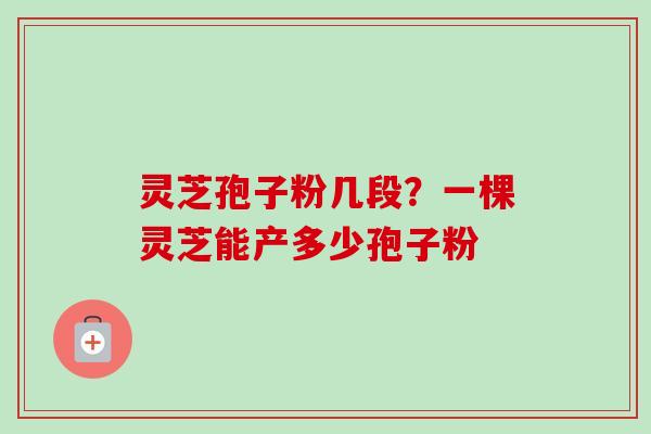 灵芝孢子粉几段?一棵灵芝能产多少孢子粉 灵芝孢子粉几段?一棵灵芝能产多少孢子粉