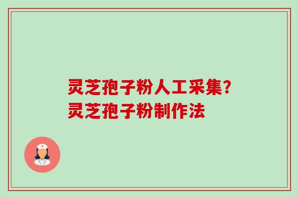 灵芝孢子粉人工采集?灵芝孢子粉制作法 灵芝孢子粉人工采集?灵芝孢子粉制作法
