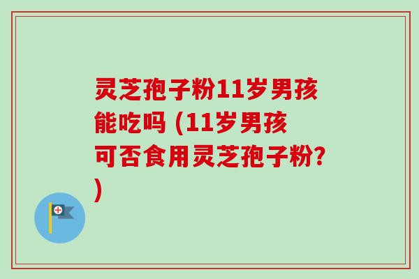 灵芝孢子粉11岁男孩能吃吗 (11岁男孩可否食用灵芝孢子粉?) 灵芝孢子粉11岁男孩能吃吗 (11岁男孩可否食用灵芝孢子粉?)