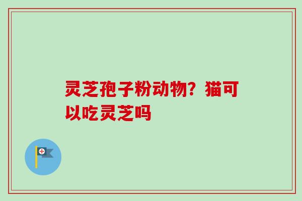 灵芝孢子粉动物?猫可以吃灵芝吗 灵芝孢子粉动物?猫可以吃灵芝吗