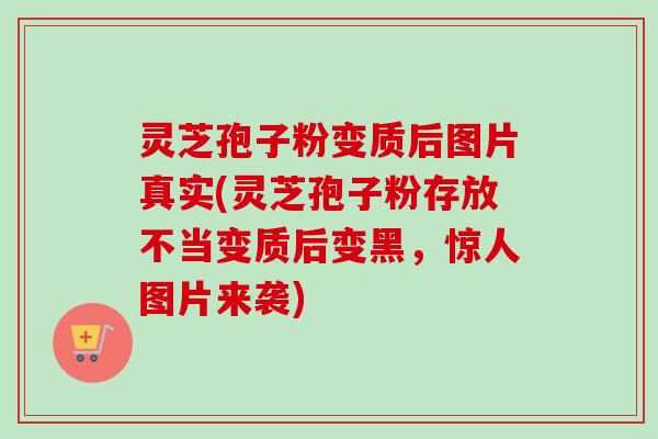 灵芝孢子粉变质后图片真实(灵芝孢子粉存放不当变质后变黑，惊人图片来袭)