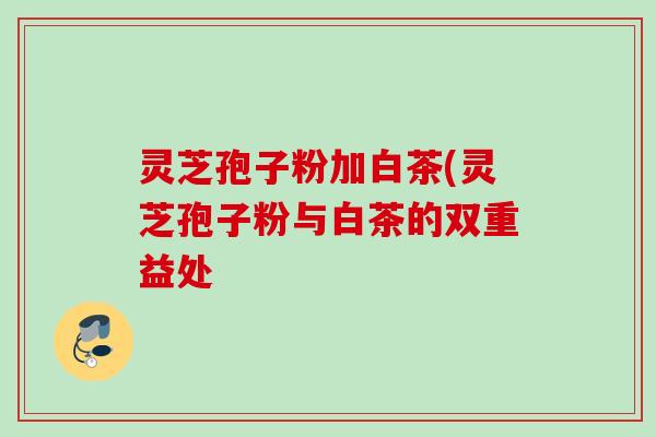 灵芝孢子粉加白茶(灵芝孢子粉与白茶的双重益处