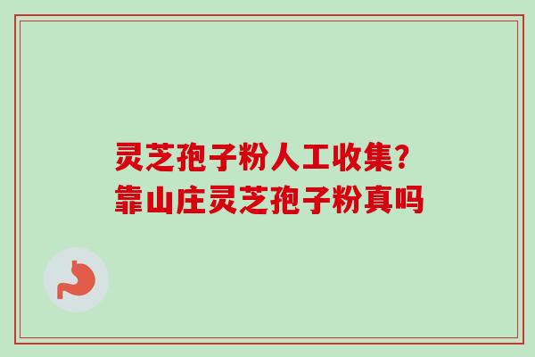 灵芝孢子粉人工收集?靠山庄灵芝孢子粉真吗 灵芝孢子粉人工收集?靠山庄灵芝孢子粉真吗