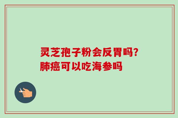 灵芝孢子粉会反胃吗？可以吃海参吗