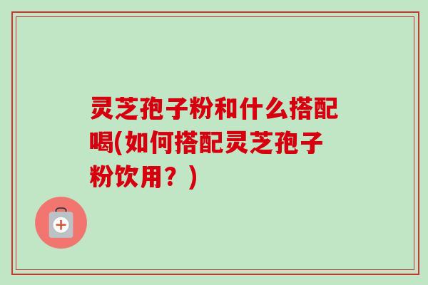 灵芝孢子粉和什么搭配喝(如何搭配灵芝孢子粉饮用?) 灵芝孢子粉和什么搭配喝(如何搭配灵芝孢子粉饮用?)