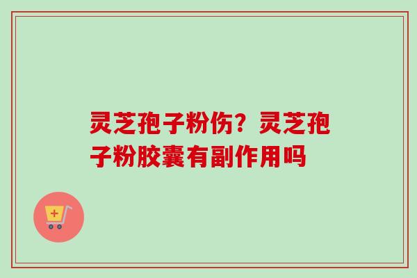 灵芝孢子粉伤?灵芝孢子粉胶囊有副作用吗 灵芝孢子粉伤?灵芝孢子粉胶囊有副作用吗