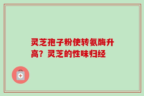 灵芝孢子粉使转氨酶升高?灵芝的性味归经 灵芝孢子粉使转氨酶升高?灵芝的性味归经