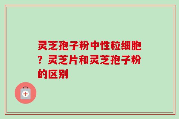 灵芝孢子粉中性粒细胞?灵芝片和灵芝孢子粉的区别 灵芝孢子粉中性粒细胞?灵芝片和灵芝孢子粉的区别