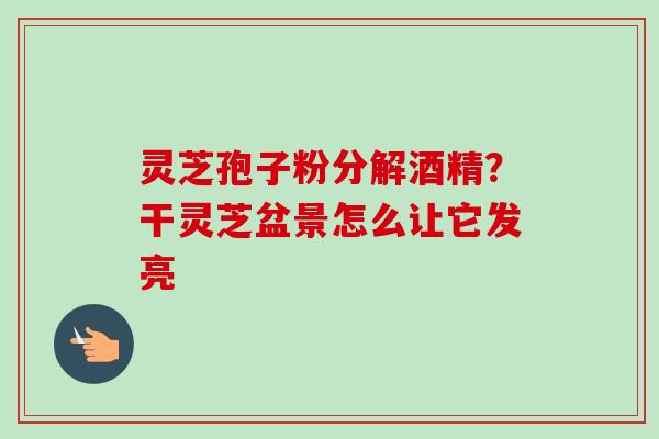灵芝孢子粉分解酒精?干灵芝盆景怎么让它发亮 灵芝孢子粉分解酒精?干灵芝盆景怎么让它发亮